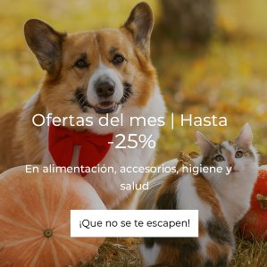 EL CORTE INGLÉS  | Ofertas Noviembre Mascotas EL CORTE INGLÉS  | Ofertas Noviembre Mascotas