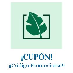 Logo de la tienda Be Green con cupones de descuento