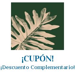 Logo de la tienda Bloomscape con cupones de descuento