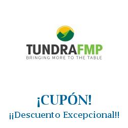 Logo de la tienda eTundra con cupones de descuento