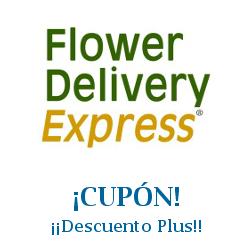 Logo de la tienda Flower Delivery Express con cupones de descuento