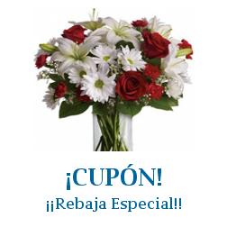 Logo de la tienda JustFlowers con cupones de descuento