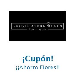 Logo de la tienda Provocateur Roses con cupones de descuento