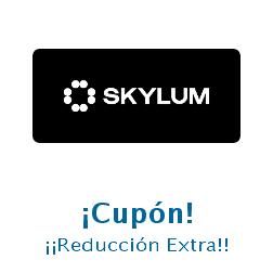Logo Skylum