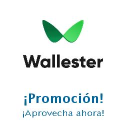 Logo de la tienda Wallester con cupones de descuento